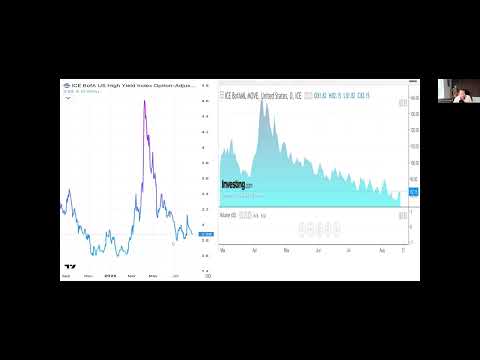 Morning Market Update August 20th