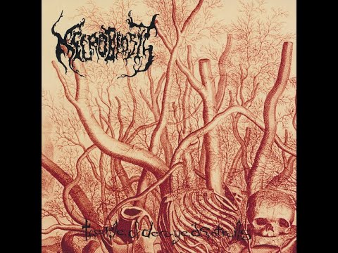 NECROBIOSIS " The Pile of Decayed Entrails " Full Compilation 2011 (FIN).