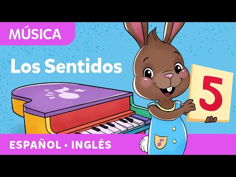 Canticos | Hay 5 sentidos que usas cada día | Kids Songs
