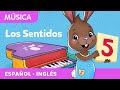 Canticos Hay 5 Sentidos Que Usas Cada Día Kids Songs