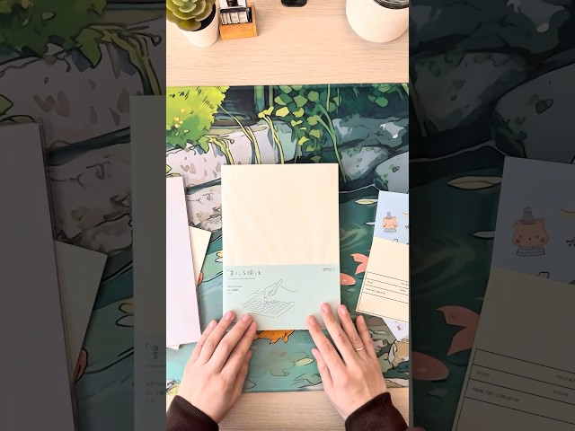 Vídeo relacionado con DESIGNPHIL Midori 15295006 - Cuaderno MD, A5, rayado gráfico + cubierta para cuaderno