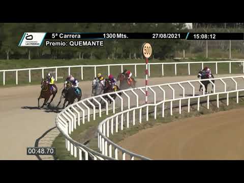 210827 c05 - REWARD - HIPODROMO LAS PIEDRAS