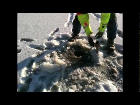 Ismete + kilos gäddor och annat kul!