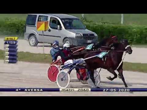 Aversa trotto 27 Maggio 2020 - 4° Corsa