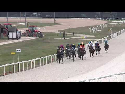 2020.12.27. 05. futam - NYERETLEN KÉTÉVESEK VERSENYE (IV.kat.) (szintetikus pálya)