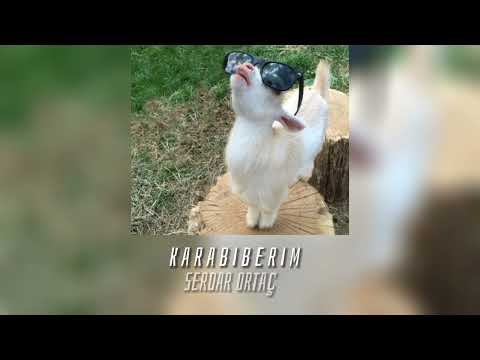 Serdar Ortaç - Karabiberim(speed song)