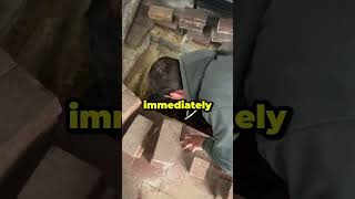 Download lagu They Found a Secret Tunnel Under Their Floor mp3 Download lagu They Found a Secret Tunnel Under Their Floor mp3