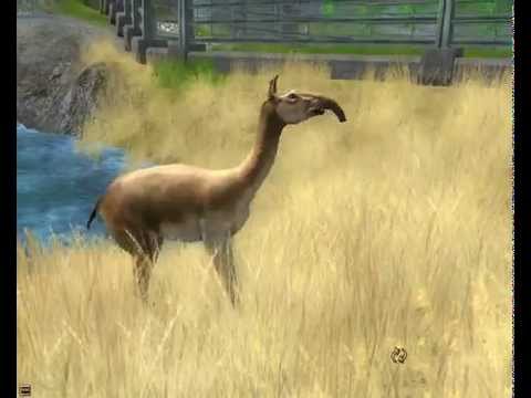 wildlife park 2 - crazy zoo - macrauchenia