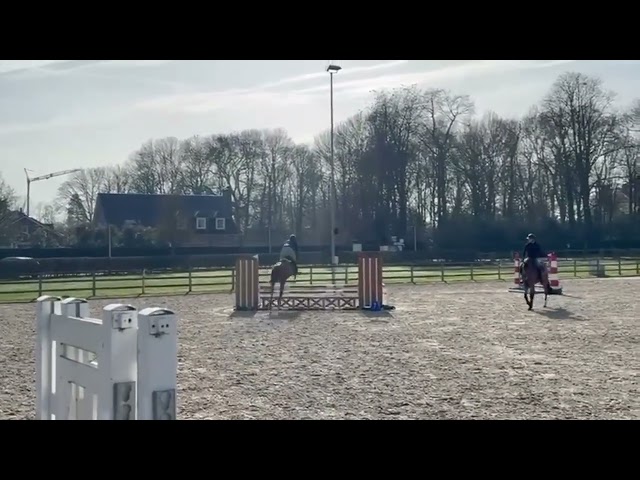 Mystic, une jument en or 