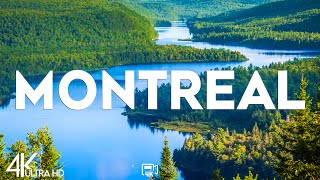 Top 10 Best Things to Do in Montreal, Canada [Montreal Travel Guide 2025]