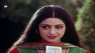 Babulgadi Debba Telugu Full Length  Movie  Krishna