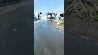 Download lagu Pantai selatan hari ini ngamuk mp3