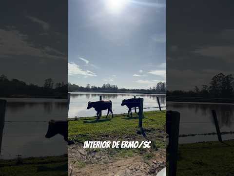 Comunidade de Santana no interior de Ermo/SC #agro #brazil #travel #santacatarina #viajar #viagens