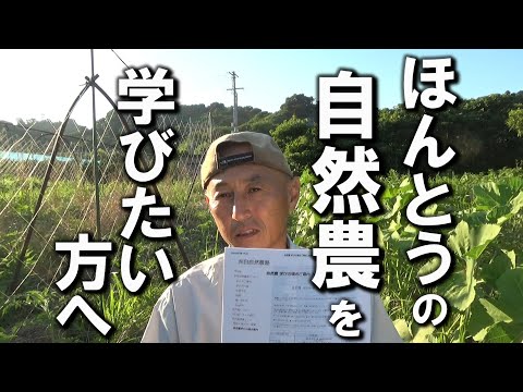 【自然農】ほんとうの「自然農」を学びたい方へ　2025年7月28日【natural farming】