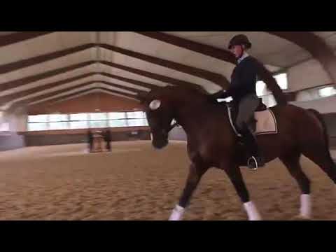 High Motion - im 50 Tage Test in Adelheidsdorf