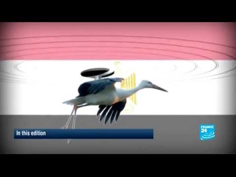 Web news - Stork arrested in Egypt on suspicion of spying
