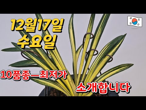 유튜브 썸네일