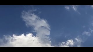 🙄BEHIND THOSE EYES 👀