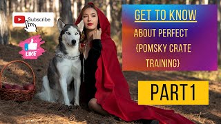 What is crate training? Crate Training Part 1. #pomsky dog care and training course