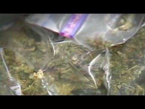 Man serves life sentence for seven pounds of marijuana