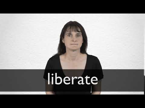 Liberate Definition And Meaning Collins English Dictionary Liberate Definition And Meaning Collins English Dictionary