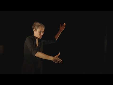 Teaser L'Audace du Papillon