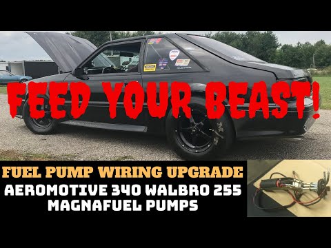 FEED ME! Fuel Pump Wiring Upgrade w/ Hangar Mod ALL Modified Fox Body Mustangs