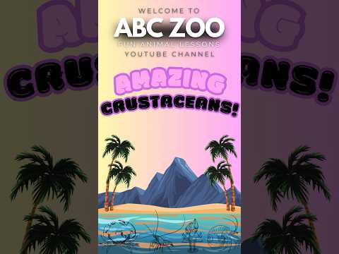 Unveiling the World of Crustaceans | ABC ZOO Fun Animal Lessons