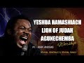 Yeshua Hamashiach Lion Of Judah Agunechemba PrJohn Anosike