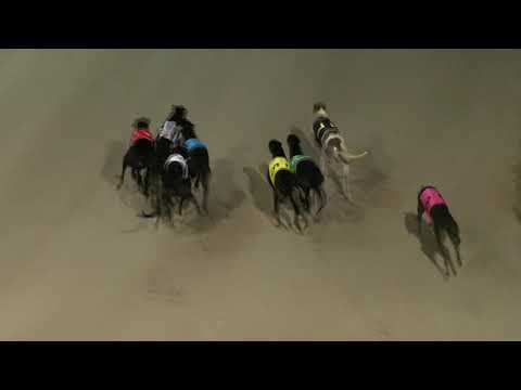 Ipswich-Saturday-19022022-Race-10-No-Race