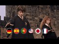 Translate SHUT UP HARRY Into Different Languages Harry Potter But Dub In Multilanguage