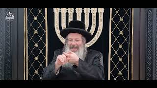 הרה"ג ר' שמעון שנייבלג שליט”א | דבר חינוך אקטואלי מהפרשה | פרשת מקץ - חנוכה | עברית