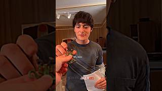 Stranger Things Cast Remembering Good Memories | Stranger Things 5 Edit | Do you remember this?