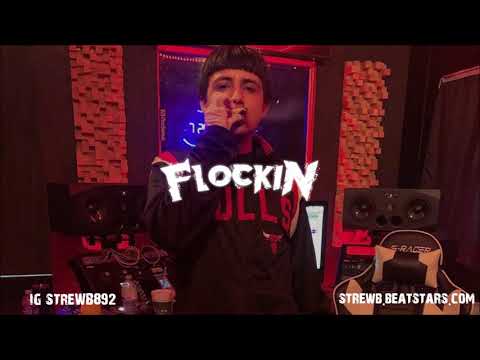[FREE] BOE Sosa x Mozzy Type Beat 2020 - "Flockin"