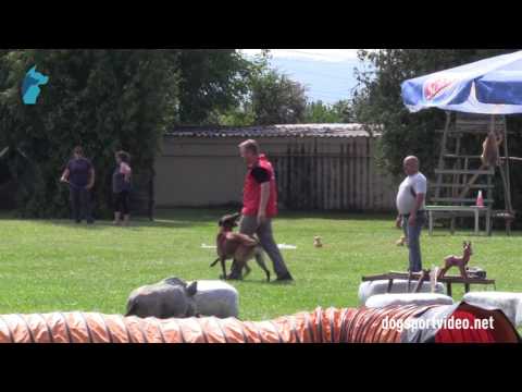 1. DMV Championat - Roland Oechslin - Farouk du chemin de l'Esperance