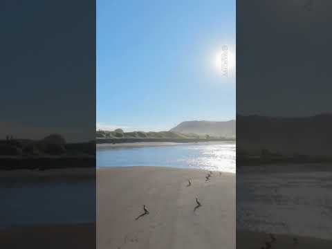La tranquilidad de la desembocadura cobra vida desde un lugar lleno de historia. 🌊🏴‍☠️