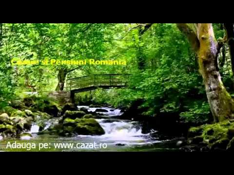 Cazare Puntiseni, Vaslui - Cazat.ro