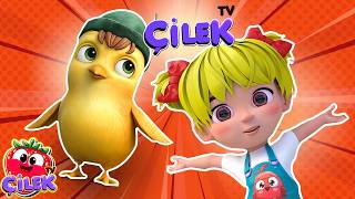 🐥 Civciv Anne Nerede? + Hayvanların Nerede? | Çilek TV Bebek ve Çocuk Şarkıları 