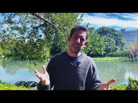 Alcoholism, a three fold disease.