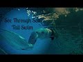 See Through Sea Tail Swim