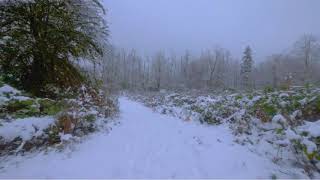 Blackmore&#39;s Night - Where Are We Going From Here