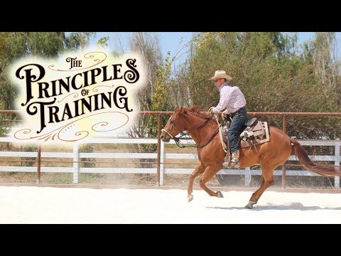 The Principles of Training Season 1 Episode 10: "They Need to Know the Answer Before You Ask the Q"