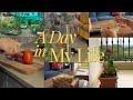 A Day In My Life Bangalore Vlog Plant Shopping Hauls Wholesome Food