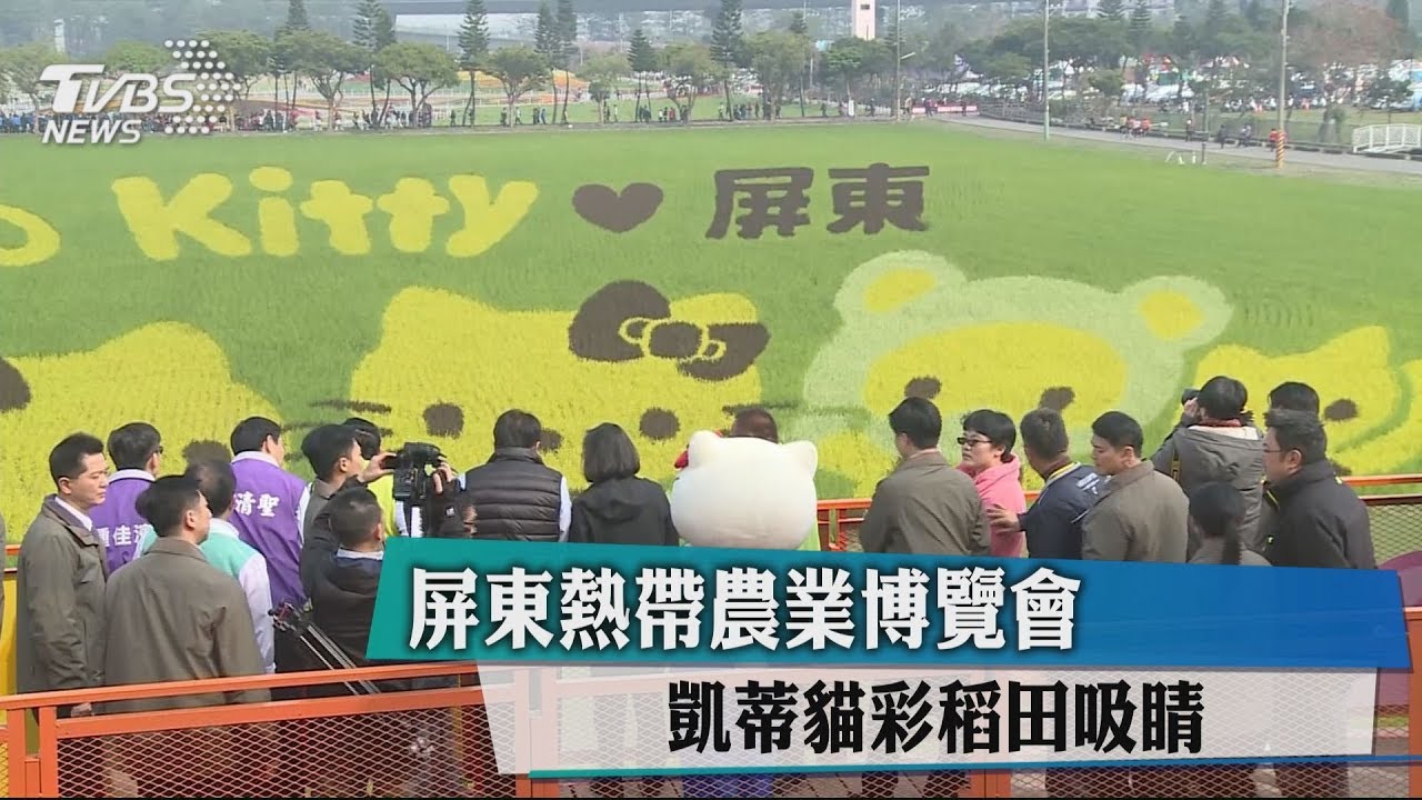 屏東熱帶農業博覽會 凱蒂貓彩稻田吸睛