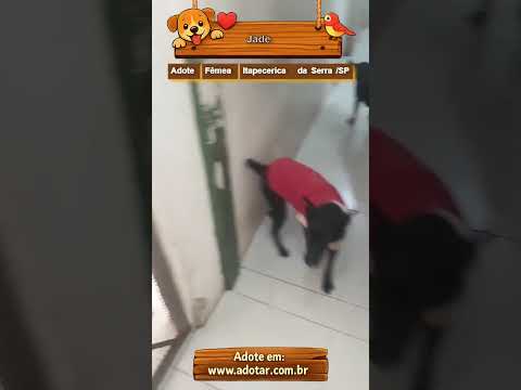 Vídeo de Jade