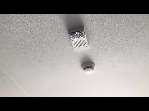 Inside horn simplex 4906