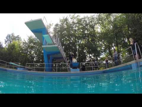 Hundeschwimmen in Steinfeld