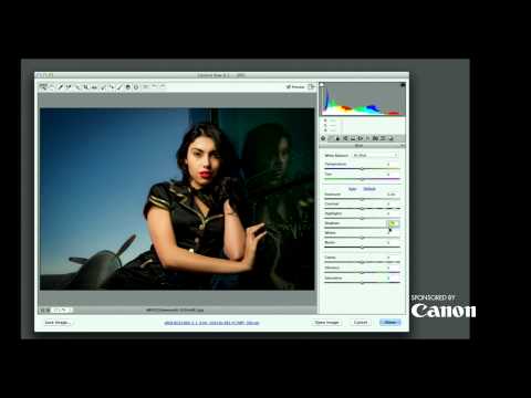 The Grid: Episode 120: Blind Portrait Critiques