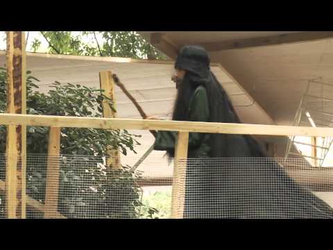 Art Biennale 2011 - Denmark