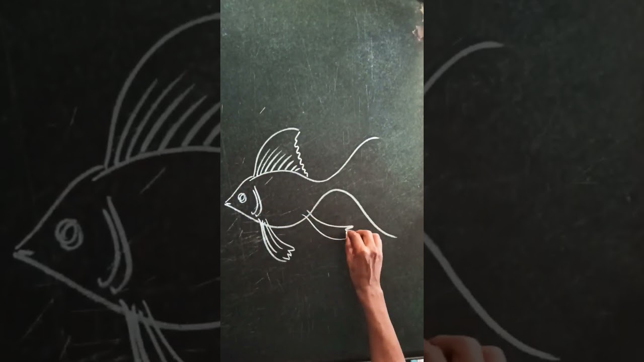 drawing of a gold fish#art#easy#howtodraw#goldfish#acquarium#water#cute#easytodraw#pet#shorts#tiktok